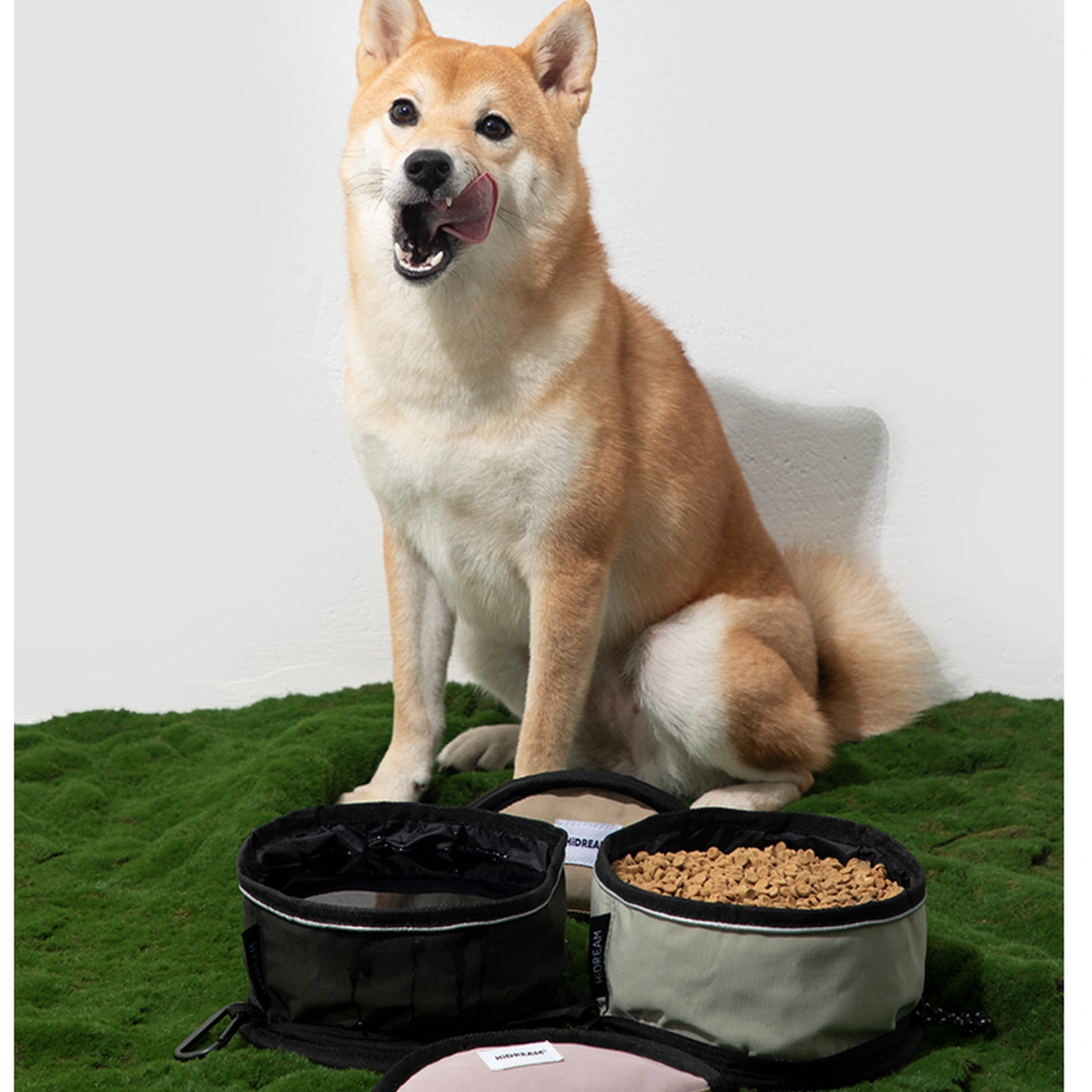 A Simple Pet Day-Trip Checklist